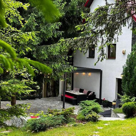 Mountain Chalet - Cabana La Muntele Baisorii Havastelep Kültér fotó