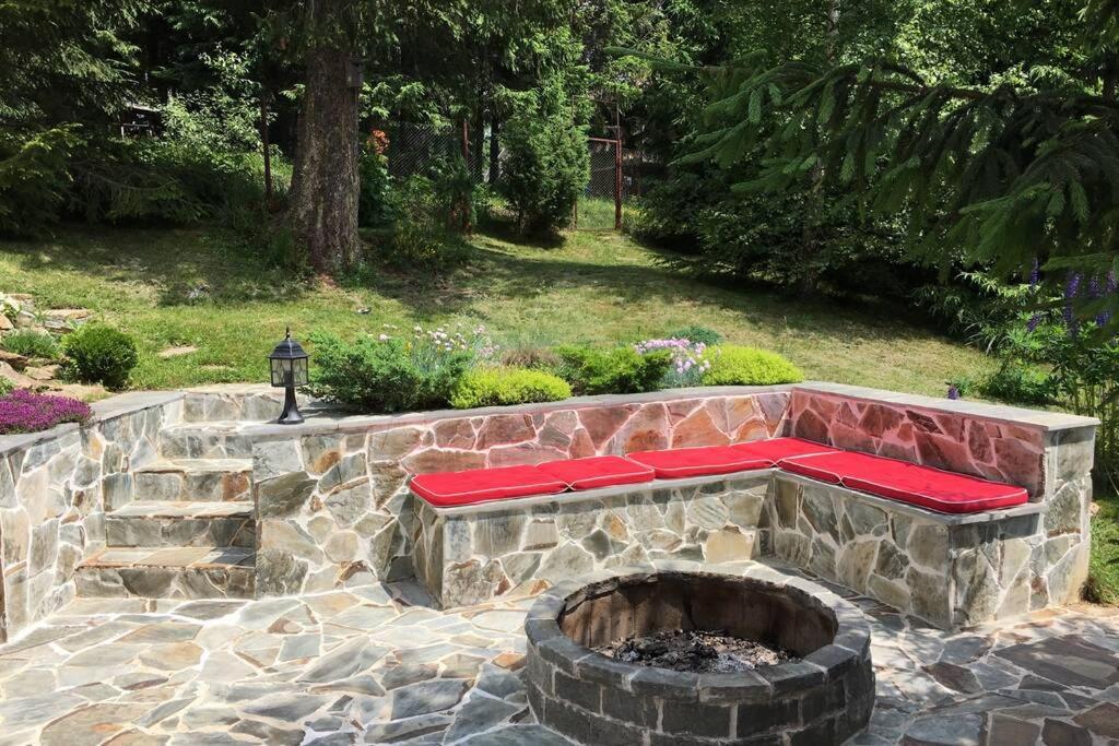 Mountain Chalet - Cabana La Muntele Baisorii Havastelep Kültér fotó