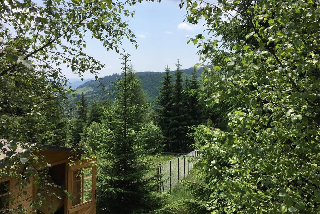 Mountain Chalet - Cabana La Muntele Baisorii Havastelep Kültér fotó