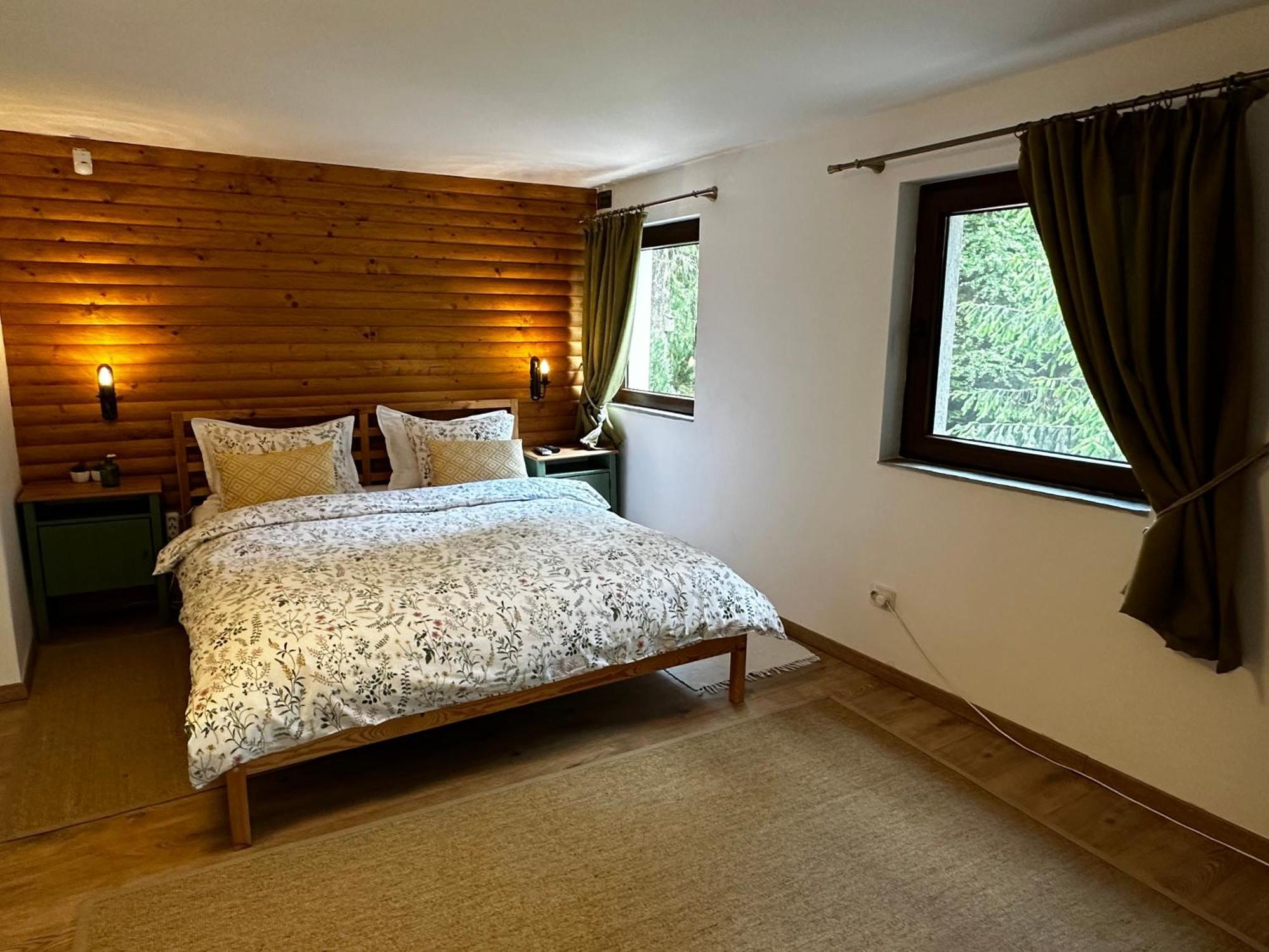 Mountain Chalet - Cabana La Muntele Baisorii Havastelep Kültér fotó
